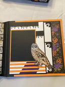 Handmade Treasure - Witch's Cauldron Decor Piece with Mini Album, HTWC