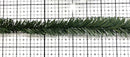 Pine pieces 0.98" - 2 foot long, in one piece, PT098