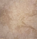 Picture This Plus 32ct Lugana - Earthen 18x27, L32EarthenFQ