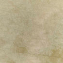 Picture This Plus 32ct Belfast - Lichen 18x27, L32LichenFQ