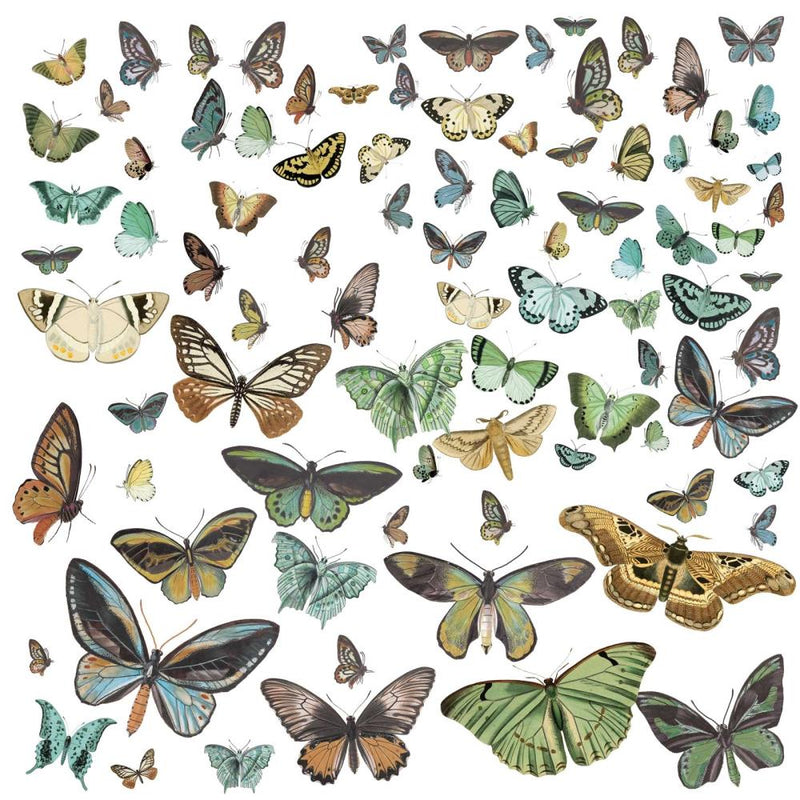 49 & Market Vintage Artistry Nature Study Laser Cut-Outs - Wings, NS23183