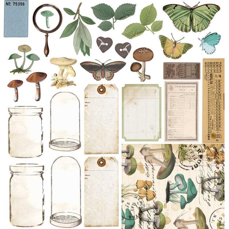 49 & Market Vintage Artistry Nature Study 12x12Collection Pack, NS41657