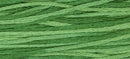 Weeks Dye Works 6-Strand Embroidery Floss 5yd - Monkey Grass, ODF 2168