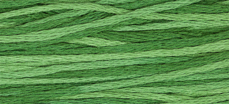 Weeks Dye Works 6-Strand Embroidery Floss 5yd - Monkey Grass, ODF 2168