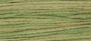 Weeks Dye Works 6-Strand Embroidery Floss 5yd - Kudzu, ODF 2200