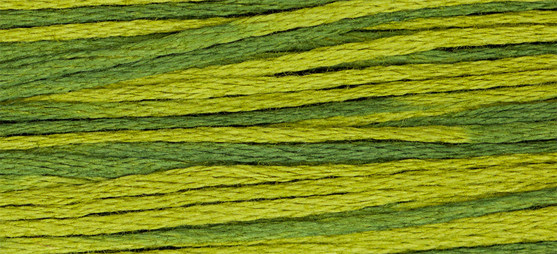 Weeks Dye Works 6-Strand Embroidery Floss 5yd - Moss, ODF 2201