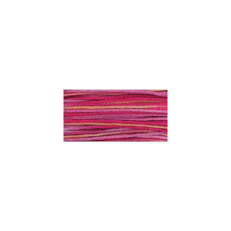 Weeks Dye Works 6-Strand Embroidery Floss 5yd - Azaleas, ODF 4145