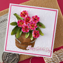Spellbinders Bundle - Serenity Garden Die Bundle, BD-1052 Susan