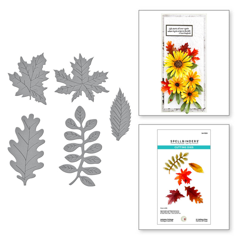 Spellbinders Etched Dies - Autumn Foliage, S41320