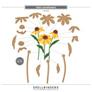 Spellbinders Bundle - Cascading Coneflowers - I Want It All Bundle, BD-1090