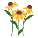 Spellbinders Bundle - Cascading Coneflowers - I Want It All Bundle, BD-1090