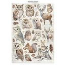 Stamperia Junk Journal - The Owl's House, SBJK02