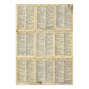 Stamperia Voyages Fantastiques - Junk Journal, SBJK05