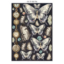 Stamperia Junk Journal 8.3x11.7 - Gardens of Time, SBJK17
