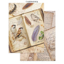 Stamperia Junk Journal 8.3x11.7 + Die Cuts Bundle- All Around, ZBNL43