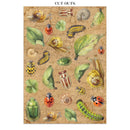 Stamperia Junk Journal 8.3x11.7 + Die Cuts Bundle- All Around, ZBNL43