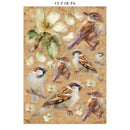 Stamperia Junk Journal 8.3x11.7 + Die Cuts Bundle- All Around, ZBNL43