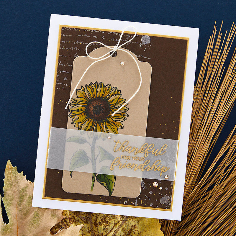 Spellbinders Clear Stamp Set - Sunflower Greetings, STP-213