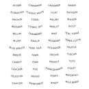 Spellbinders Clear Stamp Set - Color Swatch Names, STP-251