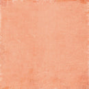 49 & Market 12x12 Staples Pack - Curiosities in Willow Grove, VBWG-33458 Vicki Boutin