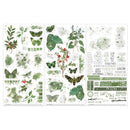 49 & Market Rub-On Transfer Set - Color Swatch: Willow, WCS-27976