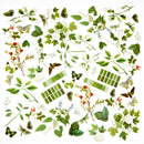 49 & Market Acetate Assorment - Color Swatch: Willow, WCS-28010