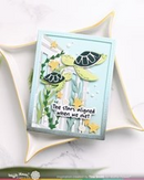 Waffle Flower Stamp & Die Combo - Seal-a-brate Sentiments, WFC2471