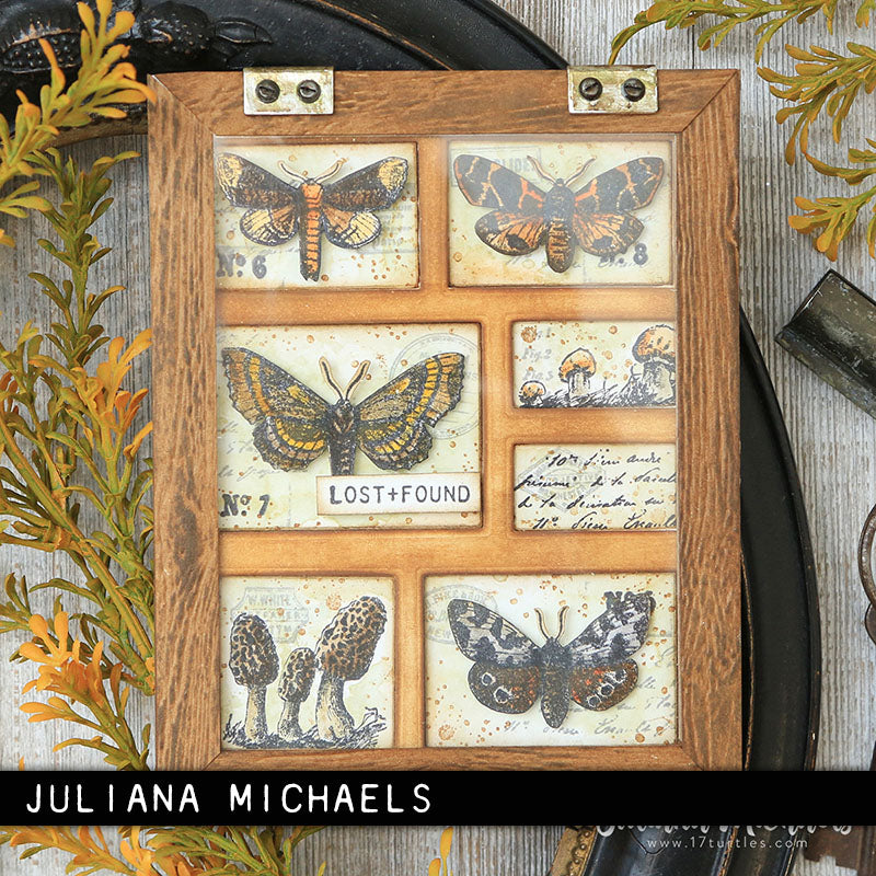 Stampers Anonymous Stamp Set - Moth Study, CMS436 by: Tim Holtz