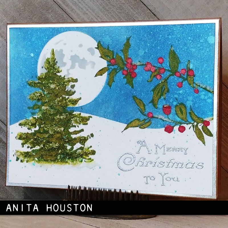 Stampers Anonymous Stamp Set - Winter Watercolor 2, CMS443 by: Tim Holtz