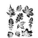 Stampers Anonymous Stamp Set - Leaf Prints 2, CMS450 by: Tim Holtz