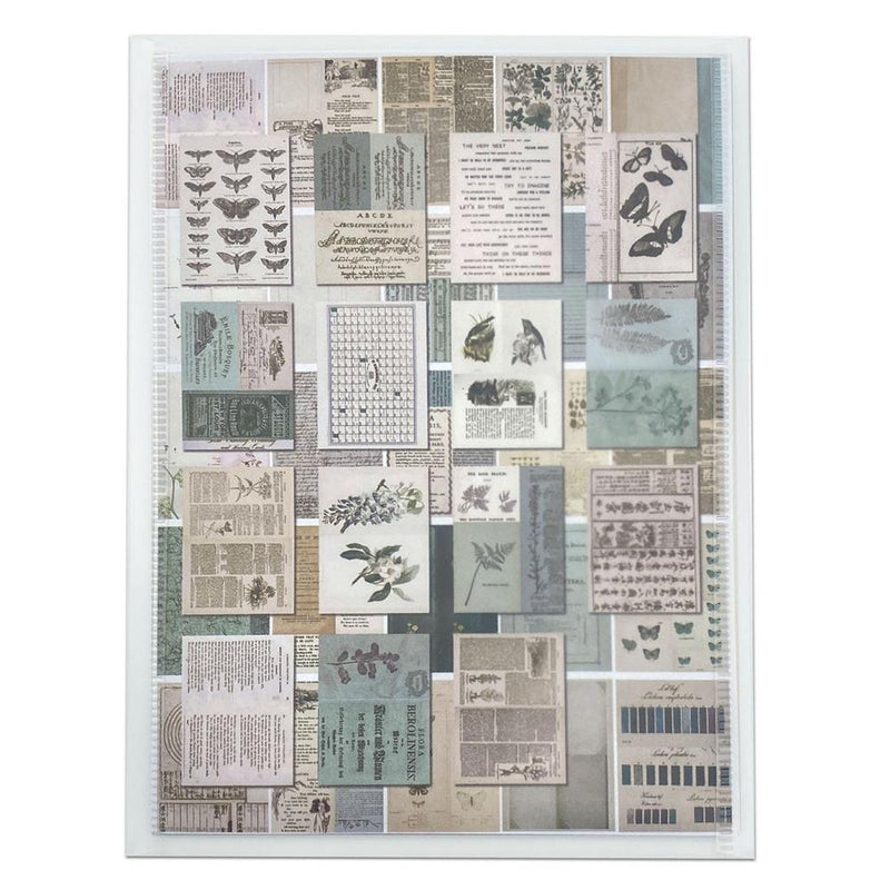 49 & Market Collage Sheets 6x8 Set - Color Swatch: Eucalyptus, CSE39951