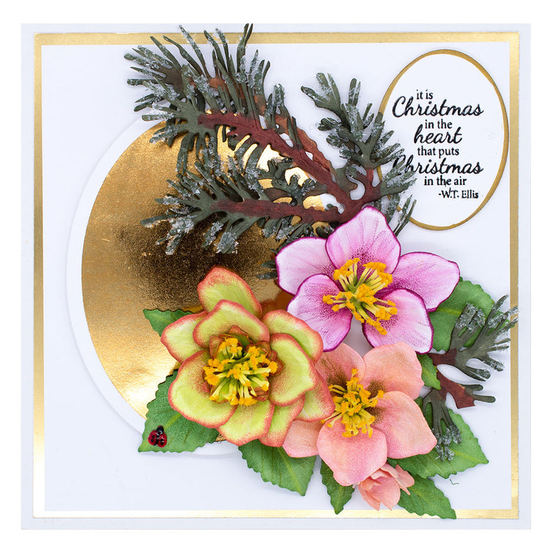 Spellbinders Etched Dies - Helleborus (Christmas Rose), S4-1207 by Susan Tierney-Cockburn