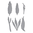 Spellbinders Etched Dies - Bird of Paradise, S4-1237