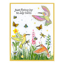 Spellbinders Stamp & Die Set - Hummingbird Build a Scene, SDS-183
