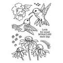Stampendous Clear Stamp Set - Hummingbird Day, STP-193