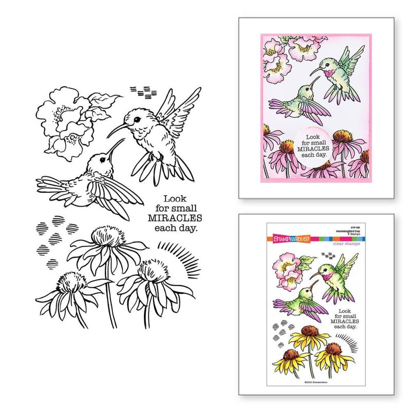 Stampendous Clear Stamp Set - Hummingbird Day, STP-193