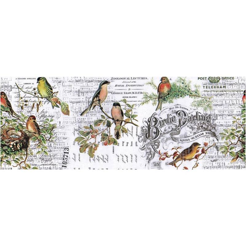 Tim Holtz Idea-ology Aviary Collage Paper 5.875"x 6yd, TH93706